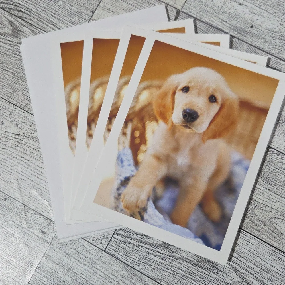 Set Of 4 Golden Retriever Blank Note Cards